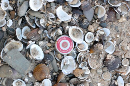 121027 0919 Niederrhein