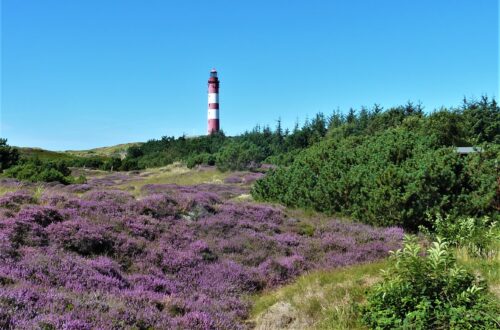 Heide Leuchtturm