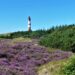 Heide Leuchtturm