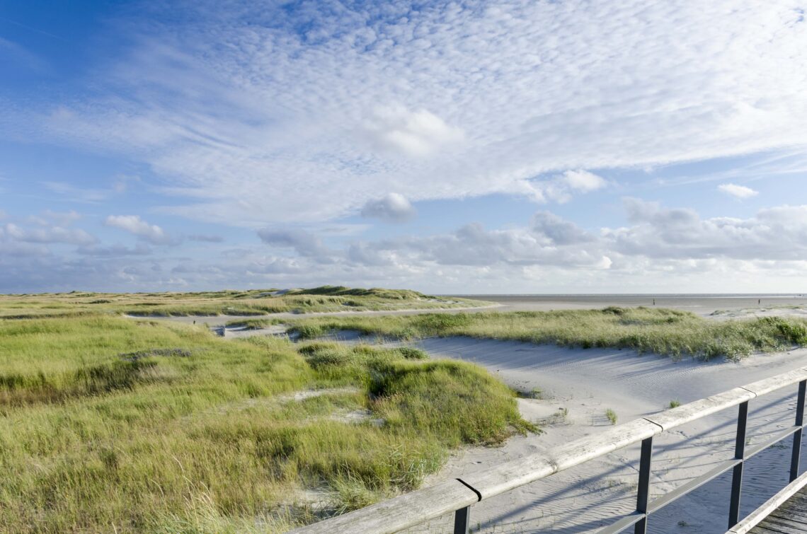 Peter Ording 3