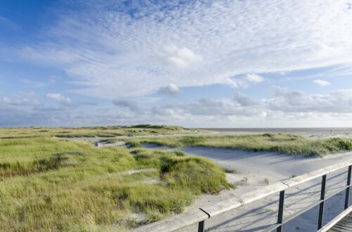 Peter Ording 3