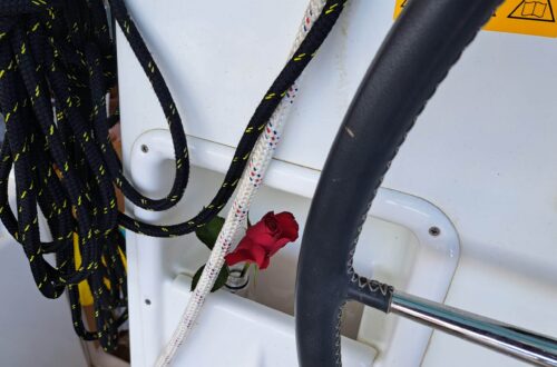 20230504 125820 scaled