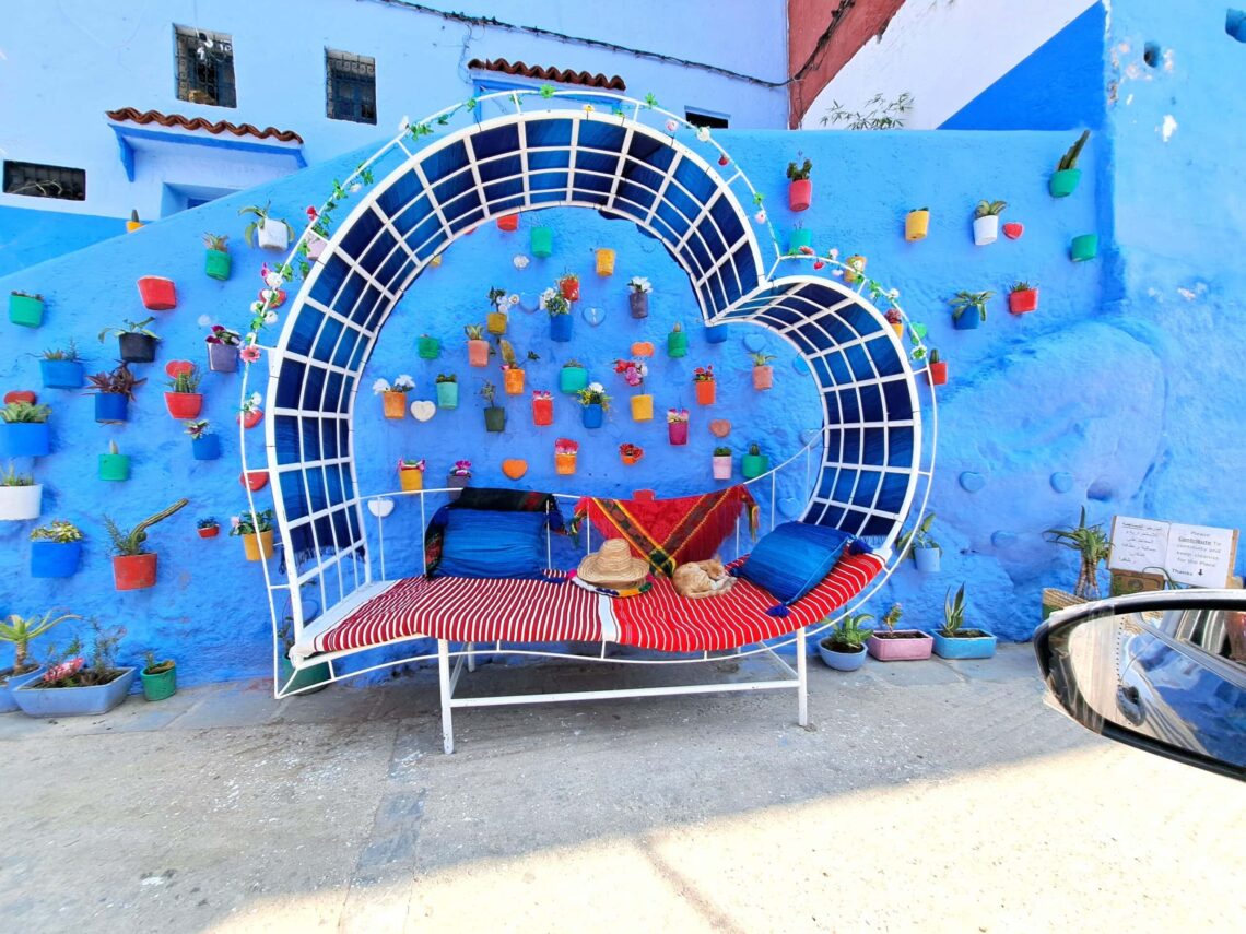 Chefchaouren Katze scaled