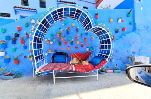 Chefchaouren Katze scaled