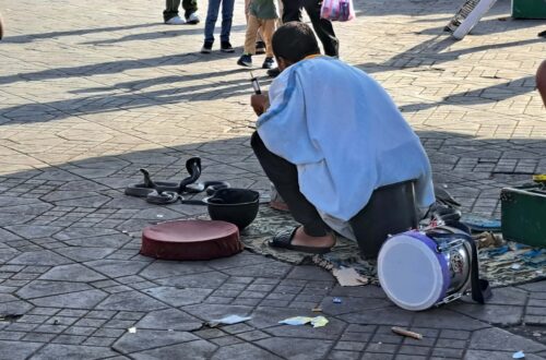 Beitragsbild 2 scaled