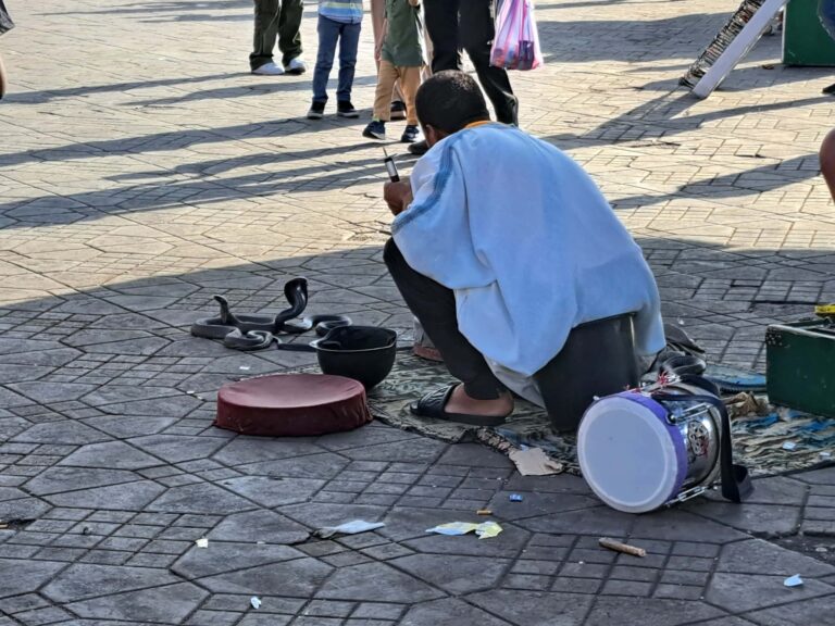 Marokko: Die 4 Königsstädte: Marrakesch - die Berühmte