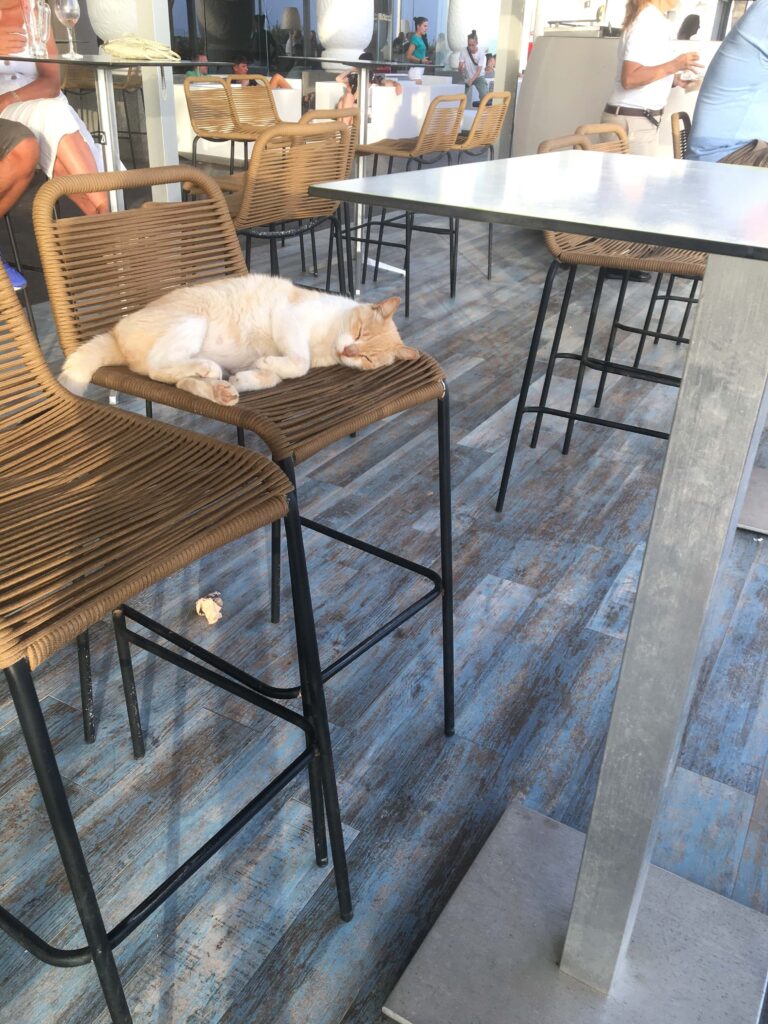 Gastbeitrag - Sabine und wie sie die Reise erlebte...