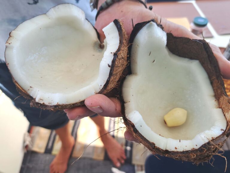 Karibik - Tagebuch - Seite 04