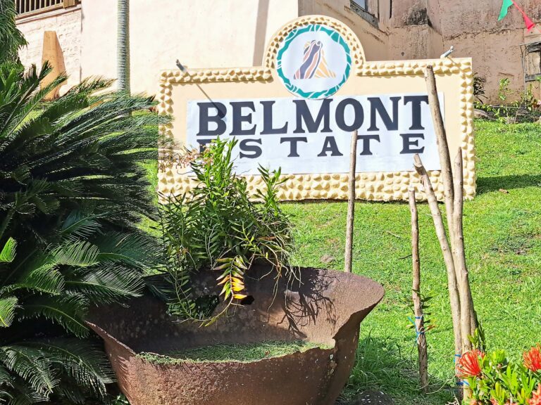 Schokolade made in Grenada