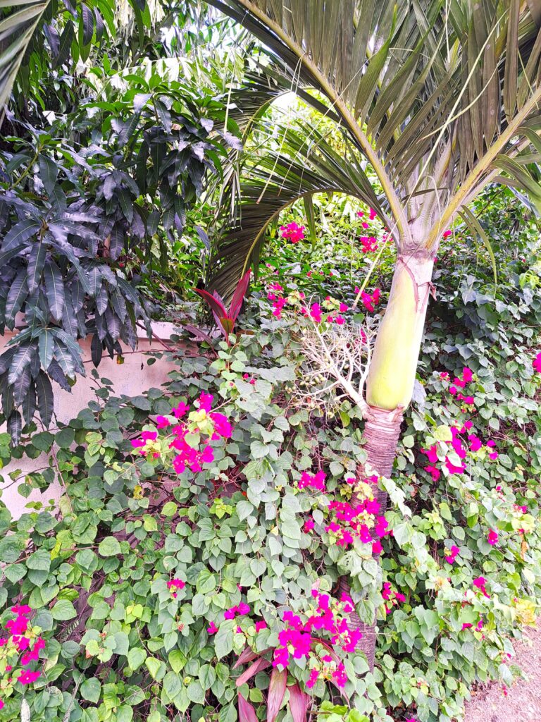 Segelrevier Karibikinsel St. Lucia