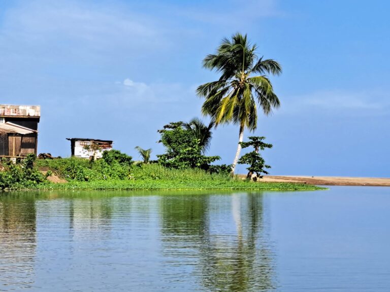 Karibikinsel St Lucia - Marigot Bay und der Mangrovenwald des Roseau Fluss