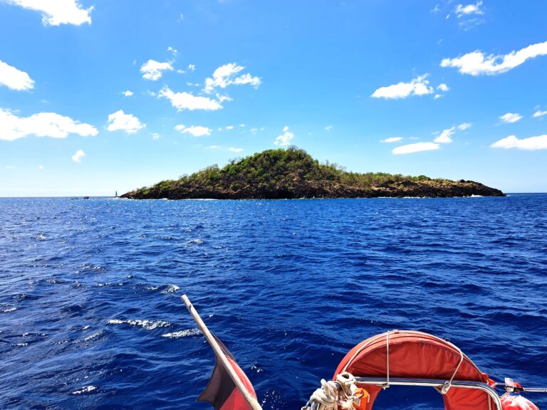 Reserve Cousteau - Die Unterwasserwelt von Jacques Cousteau