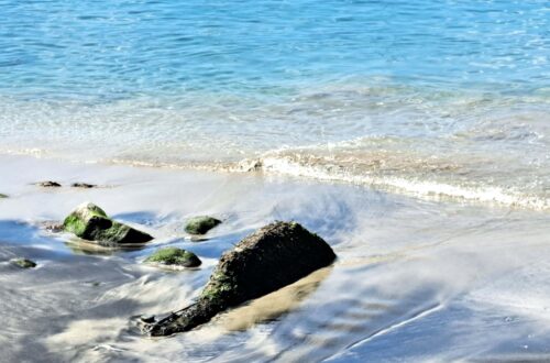 Beitragsbild Guadeloupe