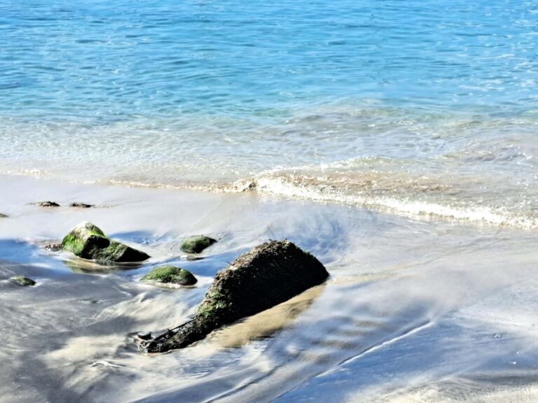 Segelrevier Guadeloupe - ein Erfahrungsbericht