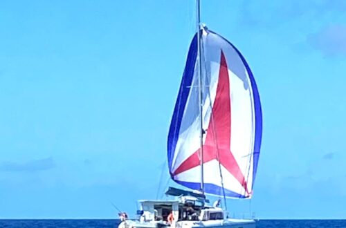 Joline mit Spinnaker