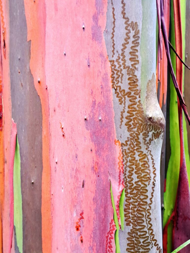 Impressionen einer Landtour in Puerto Rico