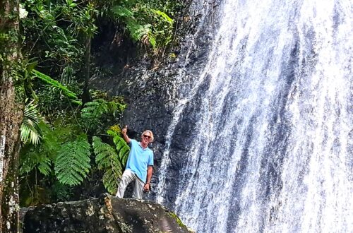 Beitragsbild El Yunque