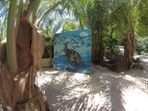 Segelrevier US Virgin Islands (US VIs) - ein Erfahrungsbericht