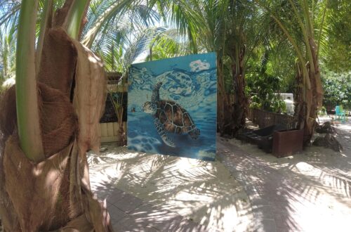 Beitragsbild US Virgin Islands