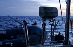 Überfahrt Karibisches Meer - von Puerto Rico/Grosse Antillen nach Bonaire/ Niederländische Antillen