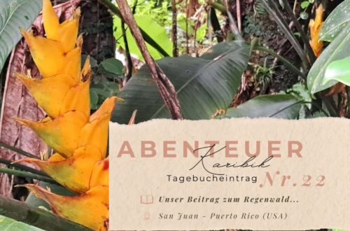Karibiktagebuch Seite 22