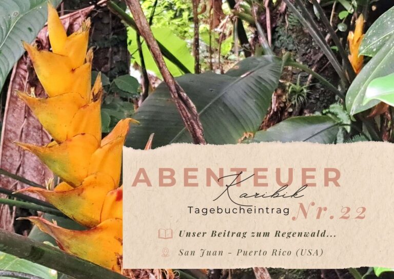 Karibik - Tagebuch - Seite 22