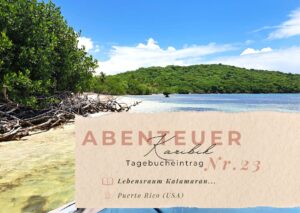 Tagebuch Karibik - Band I 8 Karibik - Tagebuch - Seite 23
