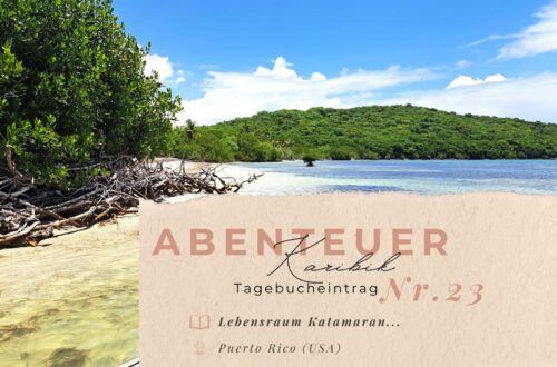 Karibiktagebuch Seite 23