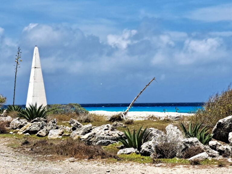 Die Salinen von Bonaire