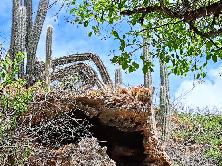 Landtour Curacao - der Norden