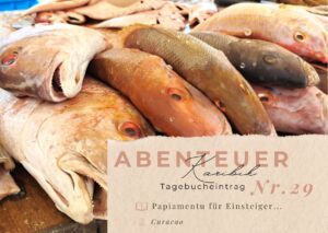Tagebuch Karibik - Band I 2 Karibik - Tagebuch - Seite 29