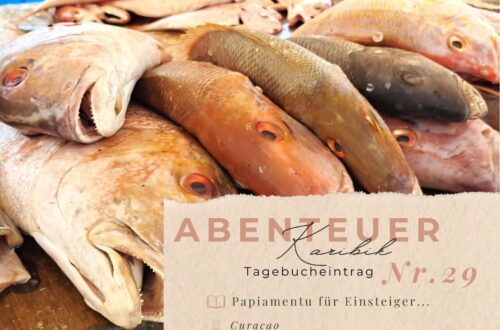 Karibiktagebuch Seite 29