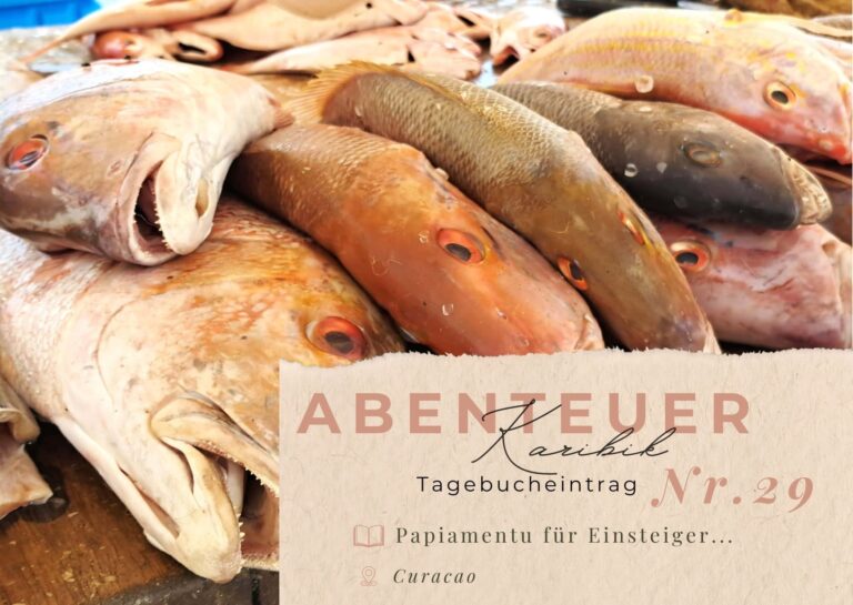 Karibik - Tagebuch - Seite 29