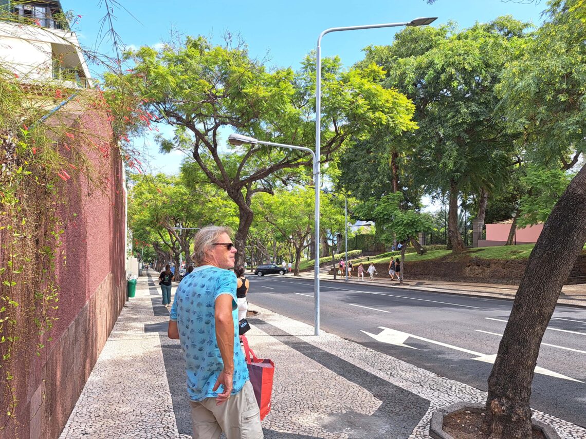 Beitragsbild Funchal