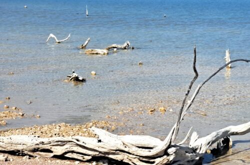 04 Nahaufnahme Salzsaline