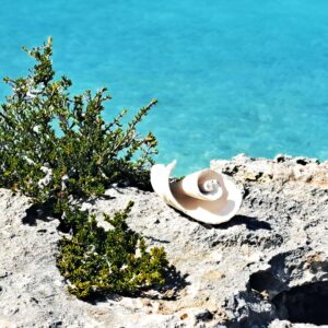 Segelrevier Turks & Caicos - ein Erfahrungsbericht