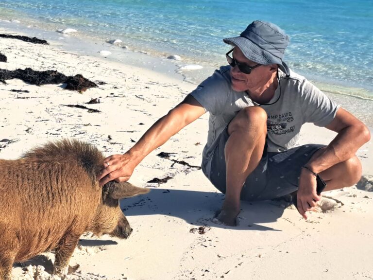 Pig Beach auf Conch Harbour - Südbahamas
