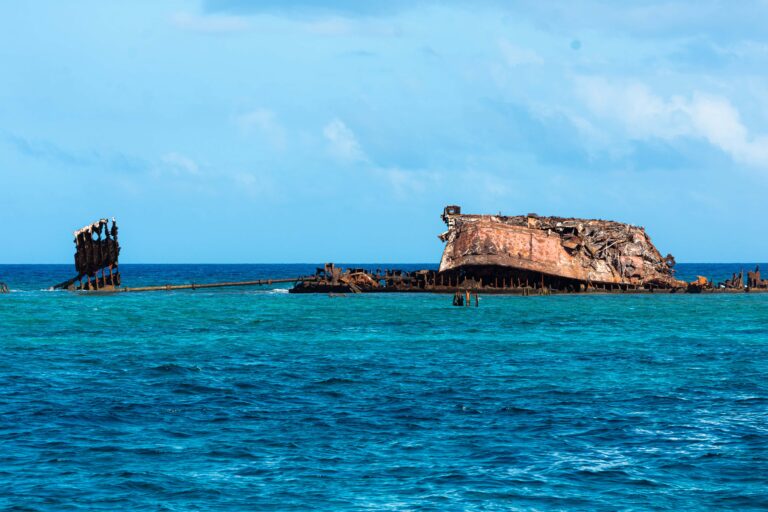 Ammenhaie im Hogsty - Atoll - Bahamas