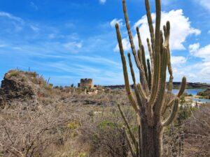 Zusammenfassung: Segelrevier ABC - Inseln