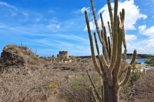 Beitragsbild Zusammenfassung ABC Inseln