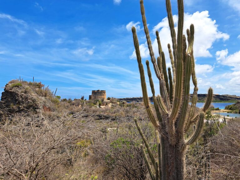 Zusammenfassung: Segelrevier ABC - Inseln