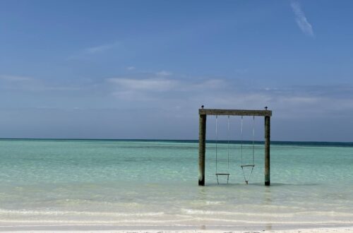 Beitragsbild Schaukel