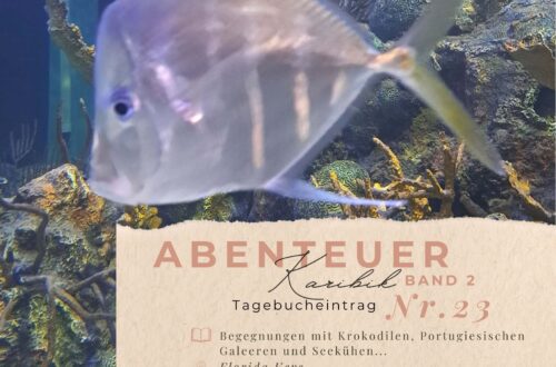 Karibiktagebuch II 23