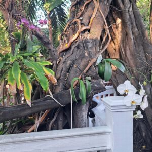 Key West der südlichste Punkt der USA
