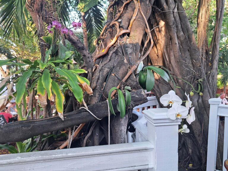 Key West der südlichste Punkt der USA